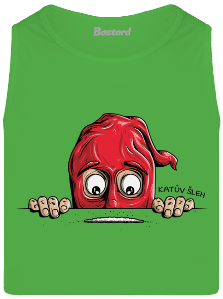 Katův šleh