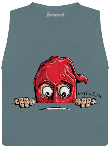 Katův šleh