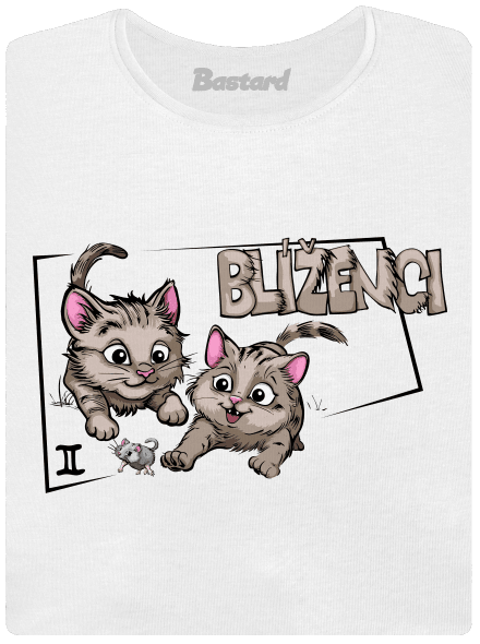 Kočičí horoskop: Blíženci