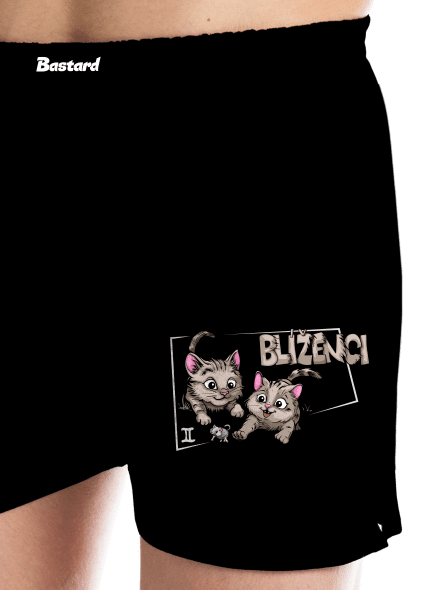 Kočičí horoskop: Blíženci