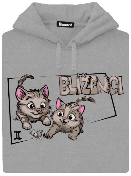 Kočičí horoskop: Blíženci