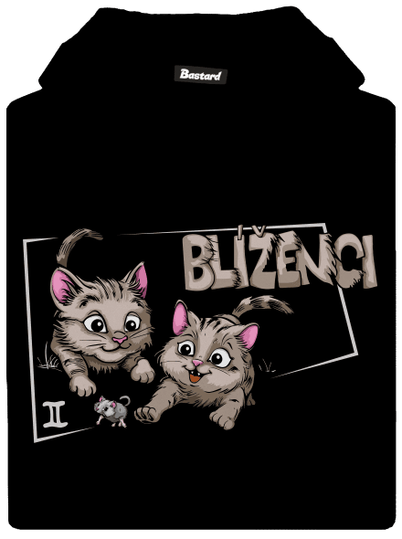 Kočičí horoskop: Blíženci