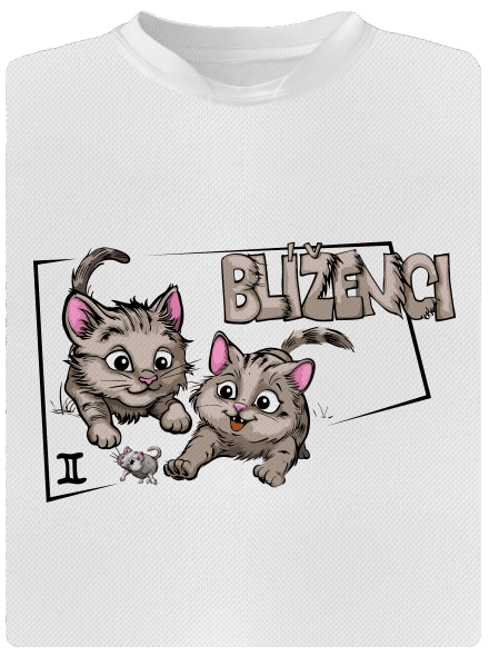 Kočičí horoskop: Blíženci