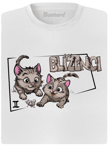 Kočičí horoskop: Blíženci