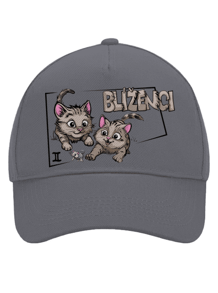 Kočičí horoskop: Blíženci