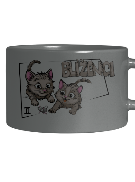 Kočičí horoskop: Blíženci