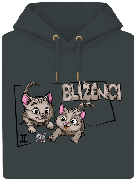 Kočičí horoskop: Blíženci