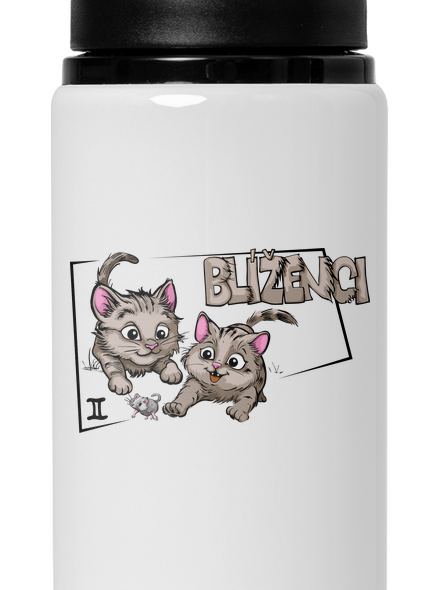 Kočičí horoskop: Blíženci