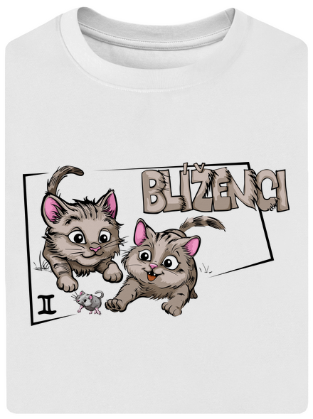 Kočičí horoskop: Blíženci