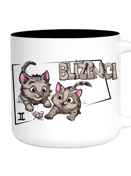 Kočičí horoskop: Blíženci