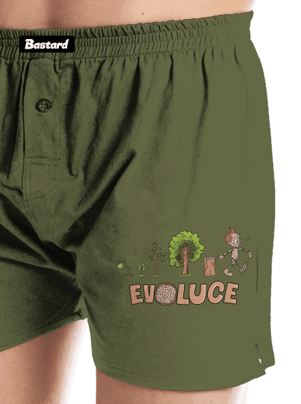 Evoluce Pinocchio