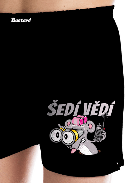 Šedí vědí - myš