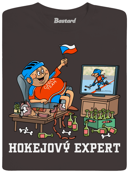 Hokejový expert