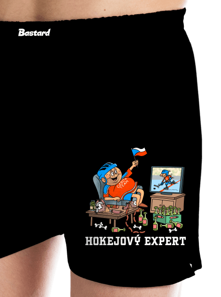Hokejový expert