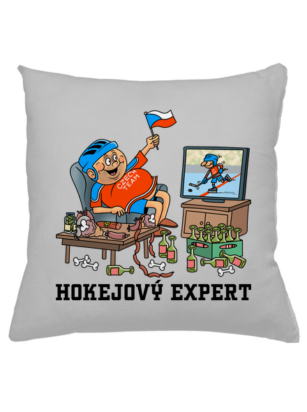 Hokejový expert