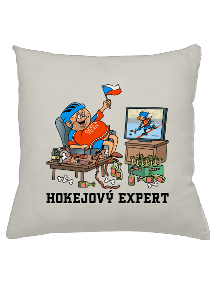 Hokejový expert