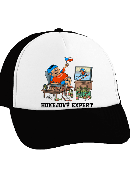 Hokejový expert