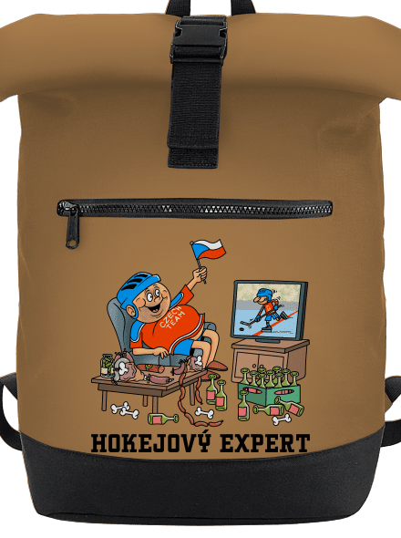 Hokejový expert