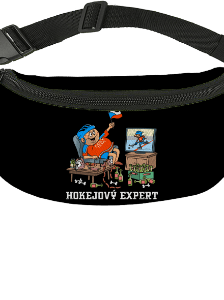 Hokejový expert