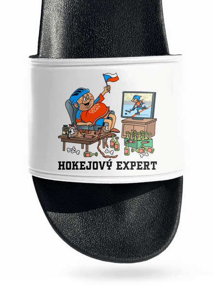 Hokejový expert