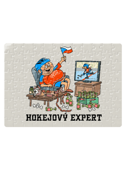 Hokejový expert