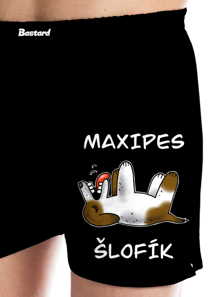 Maxipes Šlofík