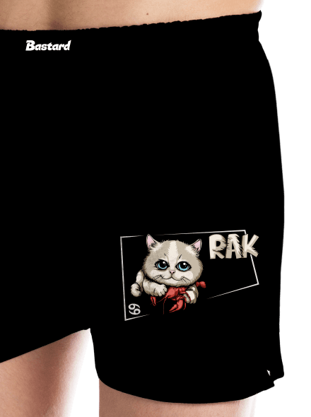 Kočičí horoskop: Rak