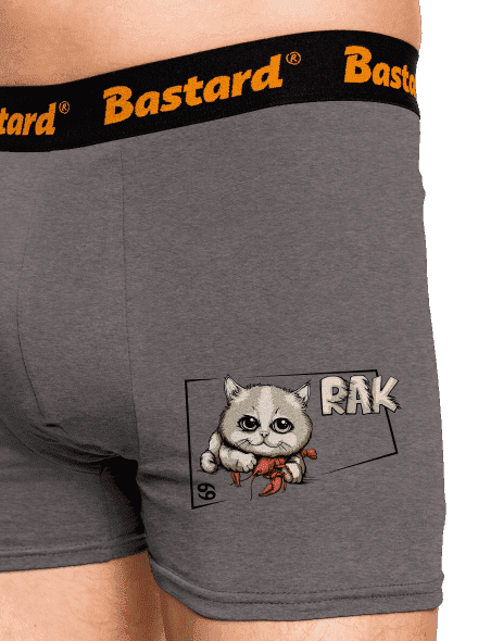 Kočičí horoskop: Rak