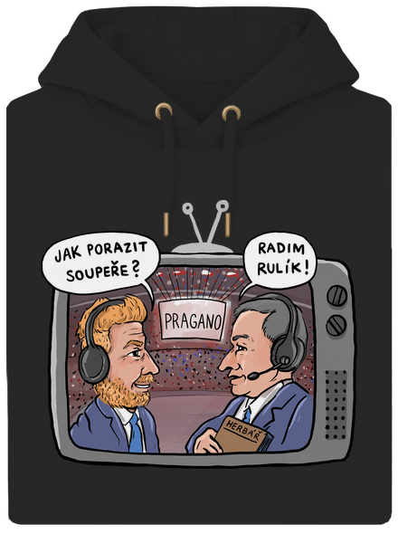 Radim rulík
