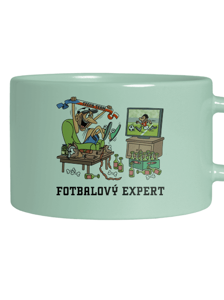 Fotbalový expert
