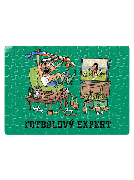 Fotbalový expert