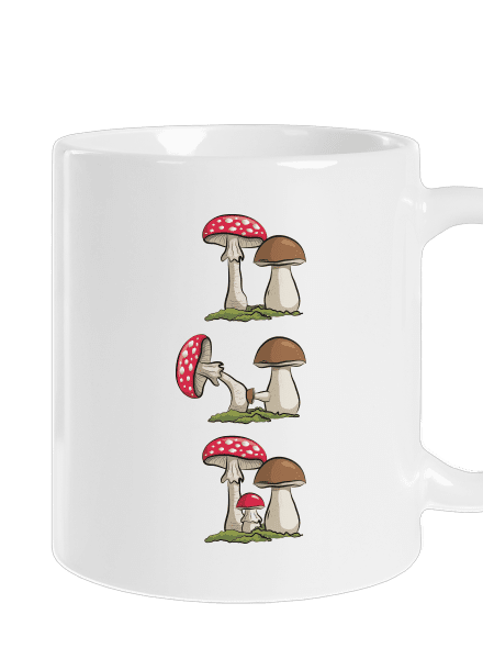 Z houbařské kroniky