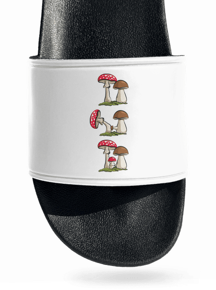 Z houbařské kroniky