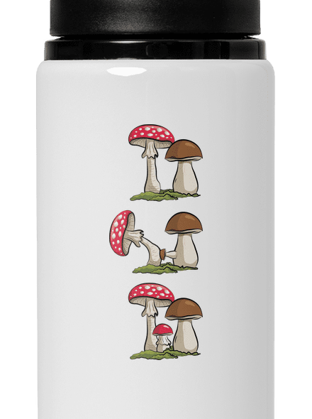 Z houbařské kroniky