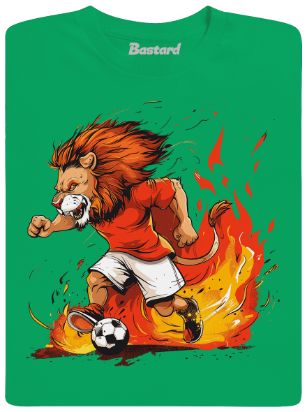 Český fotbalový lev