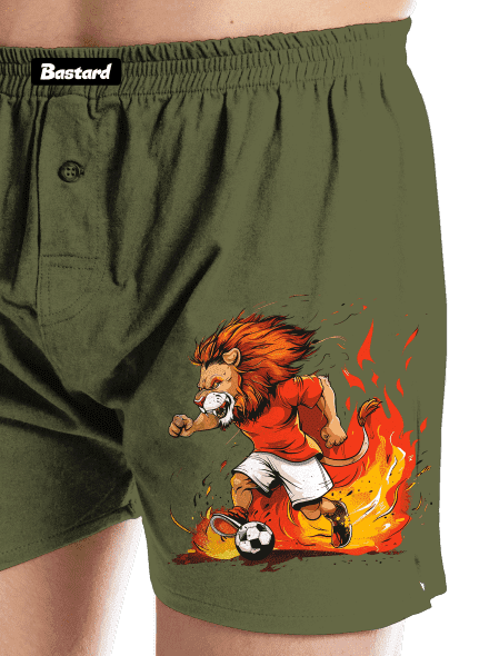 Český fotbalový lev