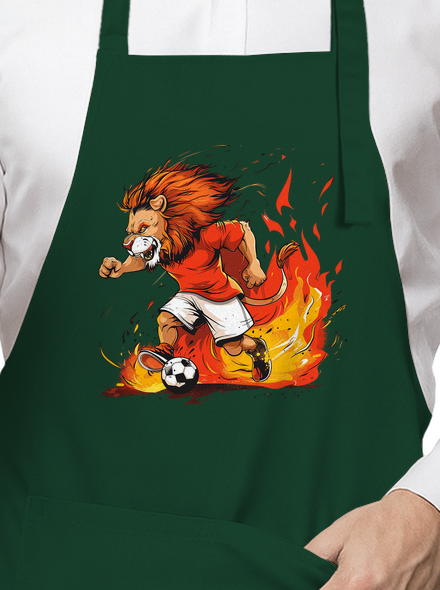 Český fotbalový lev