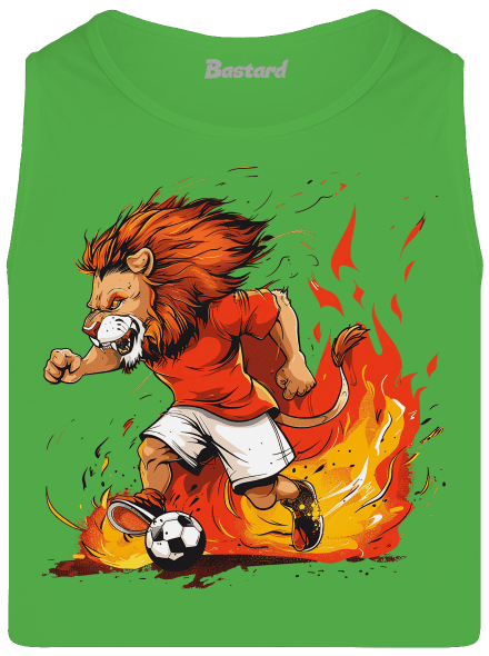 Český fotbalový lev