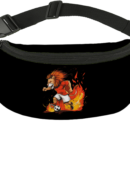 Český fotbalový lev