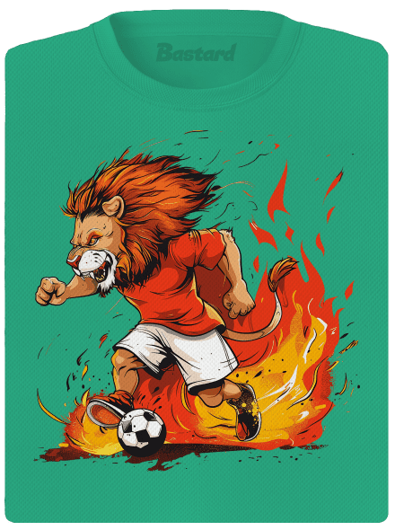 Český fotbalový lev