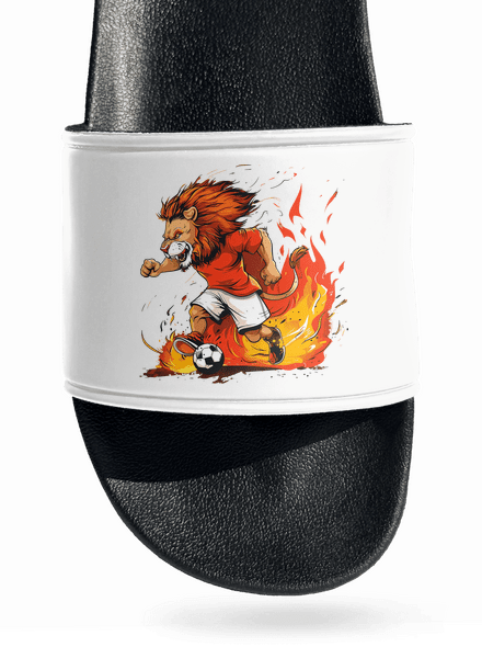 Český fotbalový lev