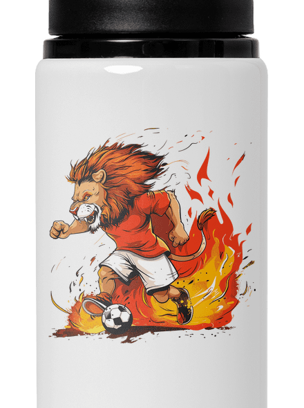 Český fotbalový lev