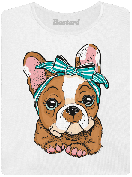 Francouzský buldoček v pin up stylu