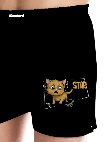 Kočičí horoskop: Štír