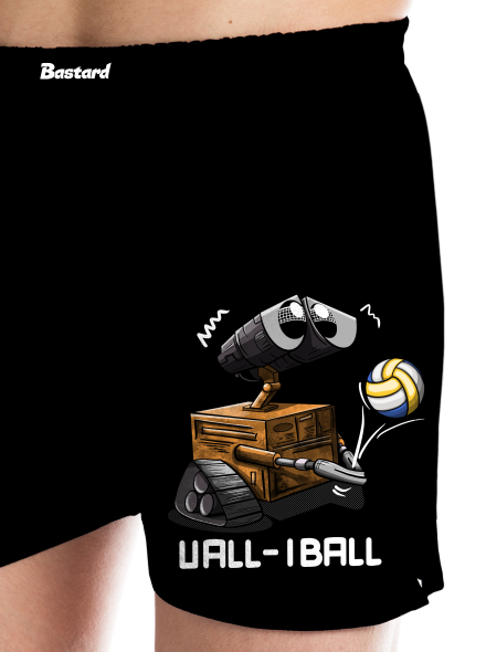Vall-iball