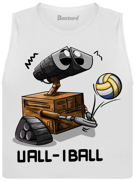 Vall-iball