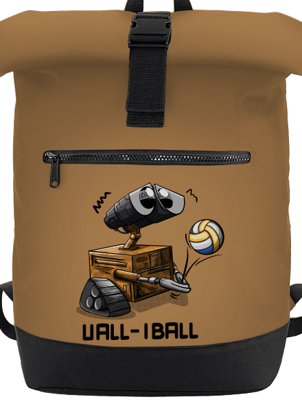 Vall-iball