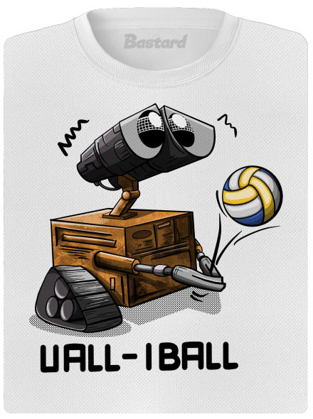 Vall-iball
