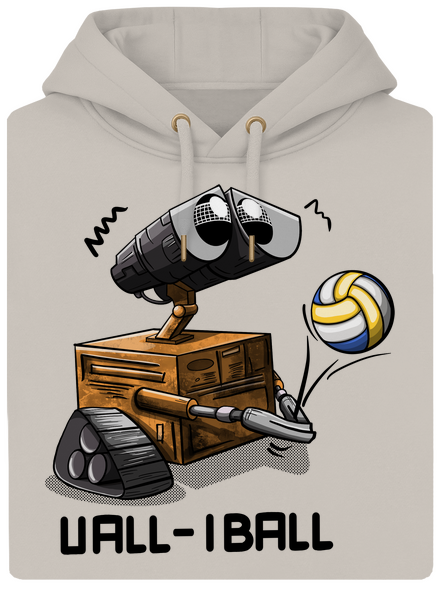 Vall-iball