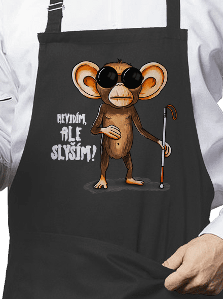 Nevidím, ale slyším